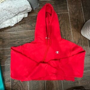 Champion reverse weave crop hoodie